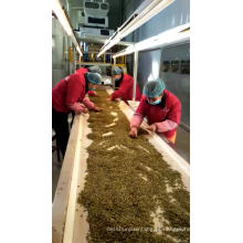 sementes de abóbora chinesas, preço de atacado nova safra 2019